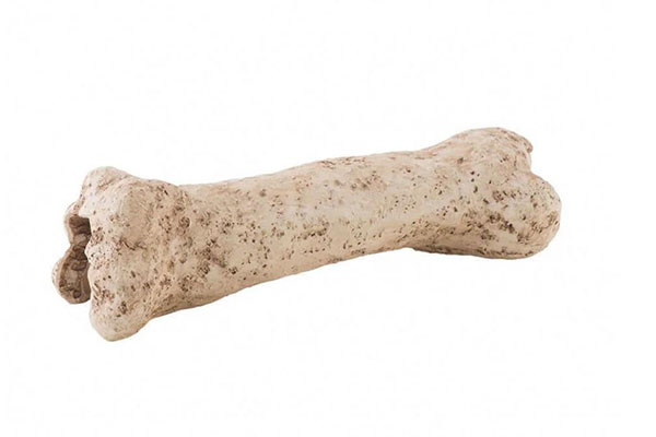 Убежище-декор кость динозавра 19х8х7 см. PT2842